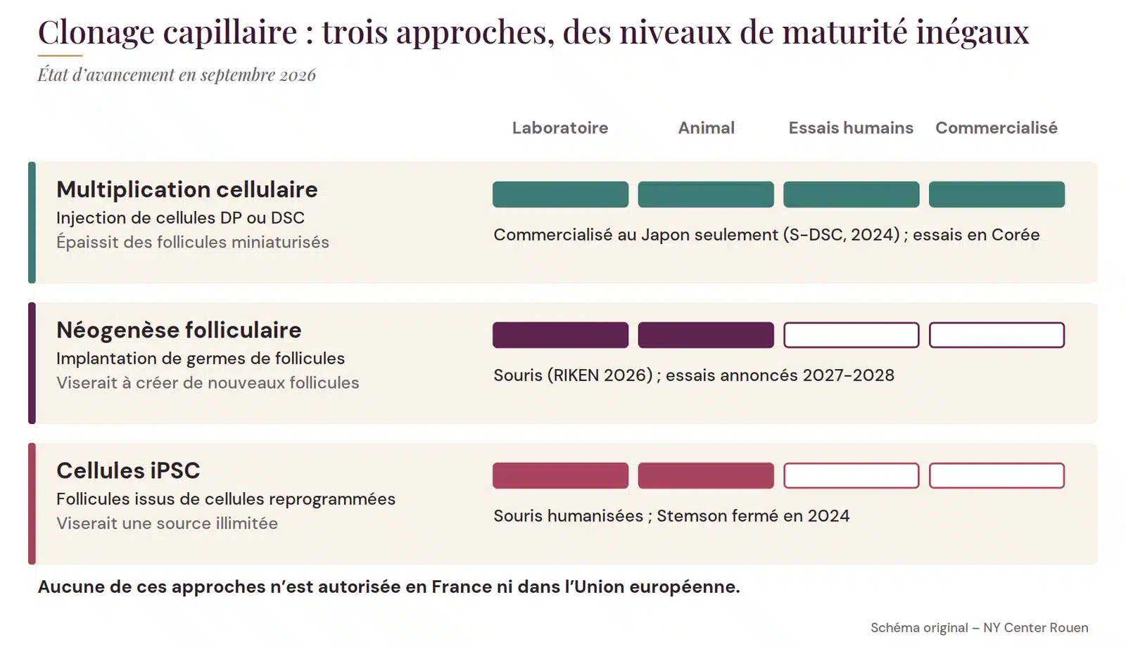 Comparaison du niveau d’avancement de la multiplication cellulaire, de la néogenèse folliculaire et des cellules iPSC en 2026
